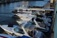 2016 10 28 GCO Halloween Sleep Out  (1).jpg